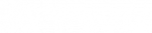 TWG Logo White